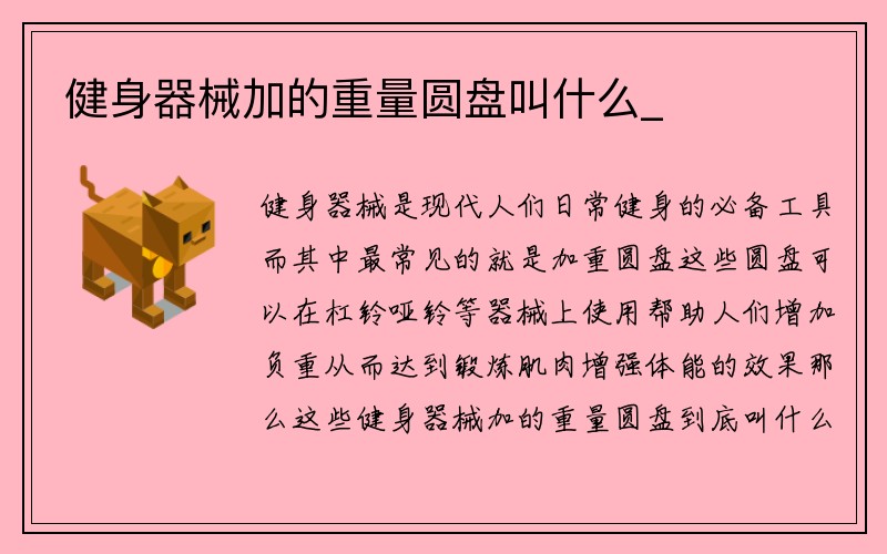 健身器械加的重量圆盘叫什么_