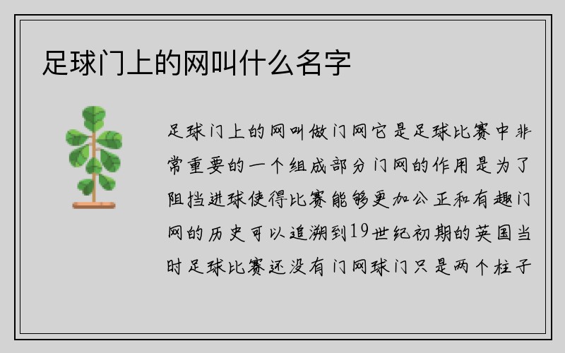 足球门上的网叫什么名字