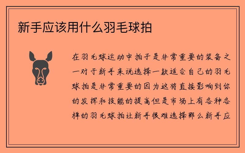 新手应该用什么羽毛球拍