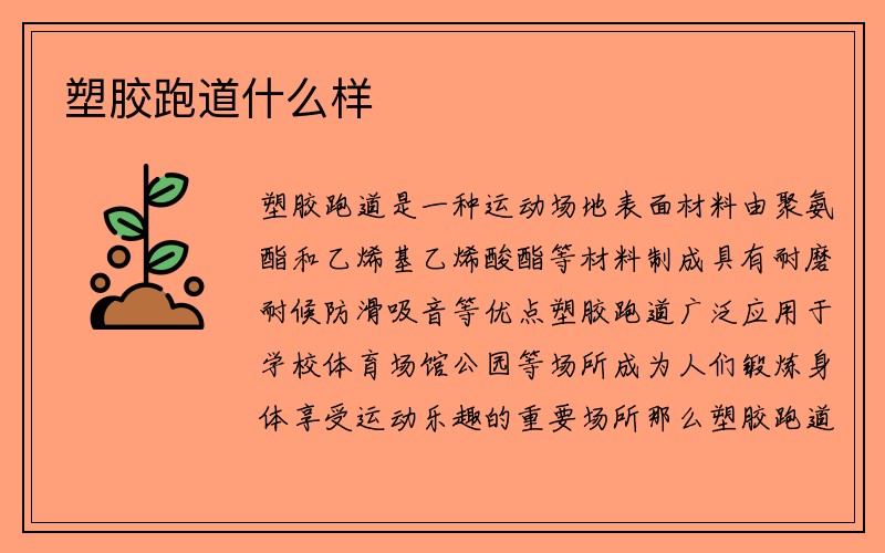 塑胶跑道什么样