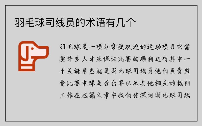 羽毛球司线员的术语有几个