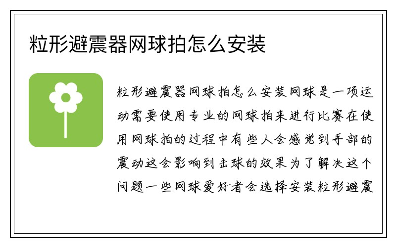 粒形避震器网球拍怎么安装